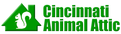 Cincinnati Animal Attic